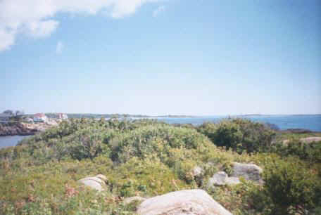 View of shore line and Thatcher Island from Salt Island.