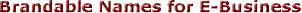 Brandable Names for E-Business. 